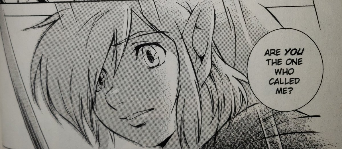 lemondelier's tweet photo. 13 years ago, I fell in love with Link from Akira Himekawa's "A Link to the Past" manga. As I got older, I strayed away. Yet one day, it felt like he was calling for me and I ended up falling in love with him all over again.

It was like he never left and was waiting for me 🌸💚 https://t.co/F8Fa8KrADE
