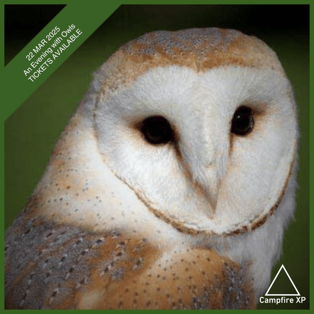campfire_xp's tweet image. Join special guest host Chrissie Gaines (founder of Chrissie's Owls sanctuary) & some of her rescued flock for an enchanting evening learning about the past, present & future of these legendary birds of prey. campfirexp.com
#March #owl #conservation #event #oxfordshire