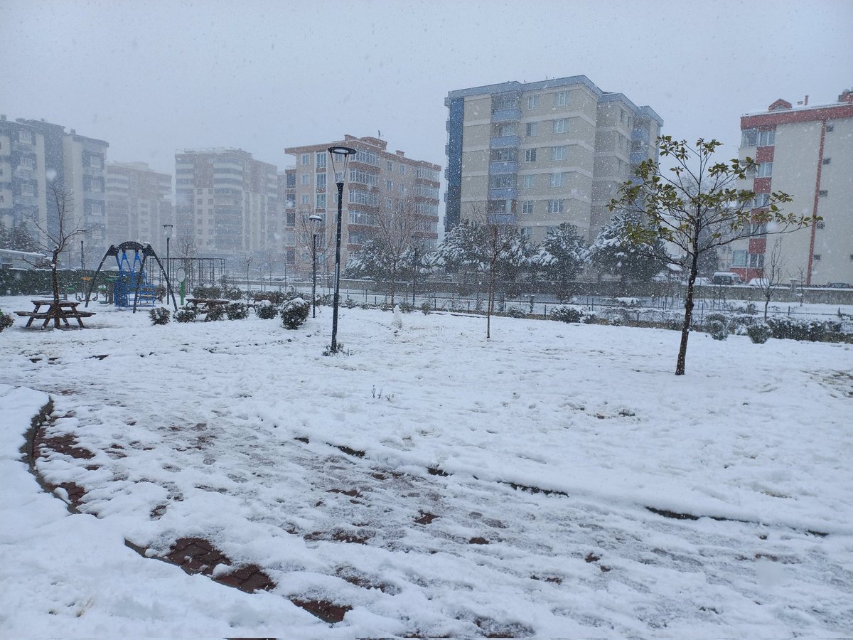 "Kardır yağan üstümüze geceden,
Yağmurlu, karanllık bir düşünceden,
Ormanın uğultusuyla birlikte
Ve dörtnala, dümdüz bir mavilikte
Kar yağıyor üstümüze inceden."

Ahmet Muhip Dıranas