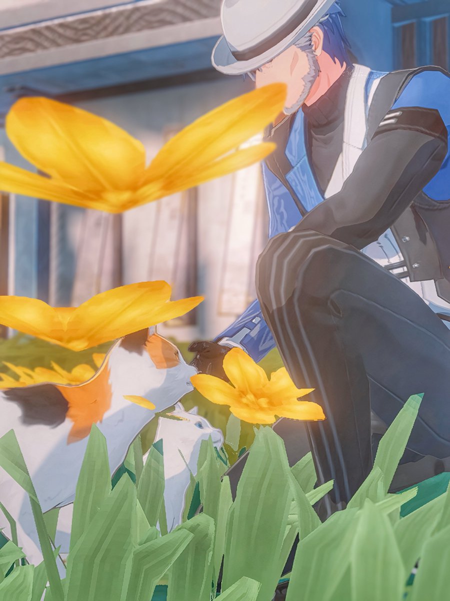 #鳴潮ネコ 🐈🐈‍⬛🌼