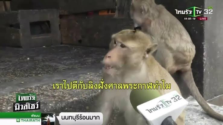 ตู้หนังสือขึ้นสนิม tweet media