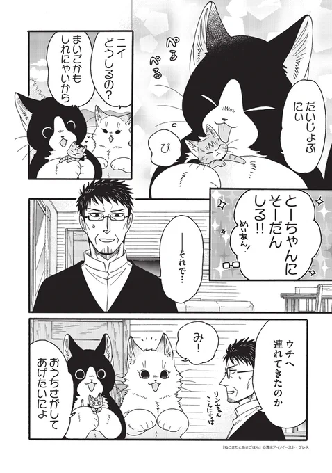 でっかい猫又とずっとのおうち🐾(3/4) 