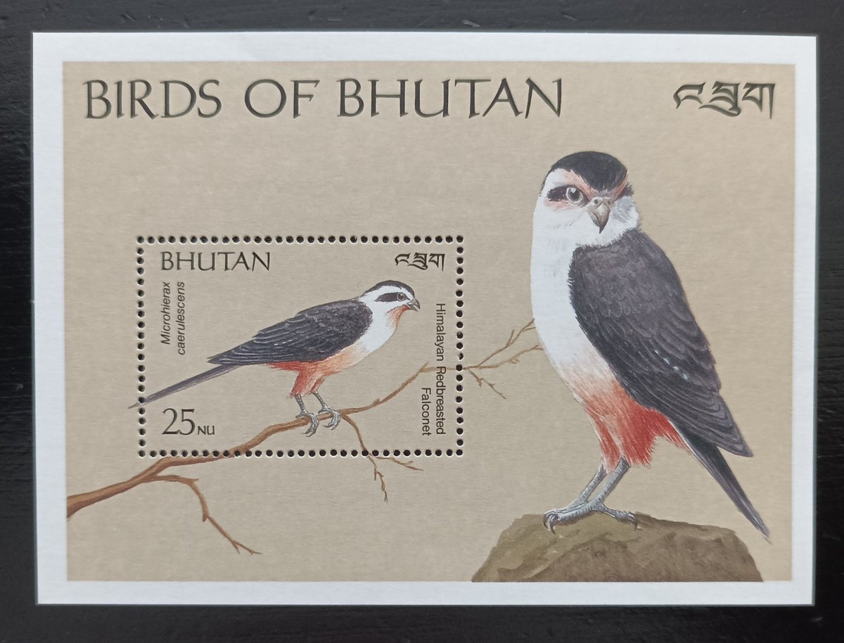 Bhutan 1989
#birds #stamps