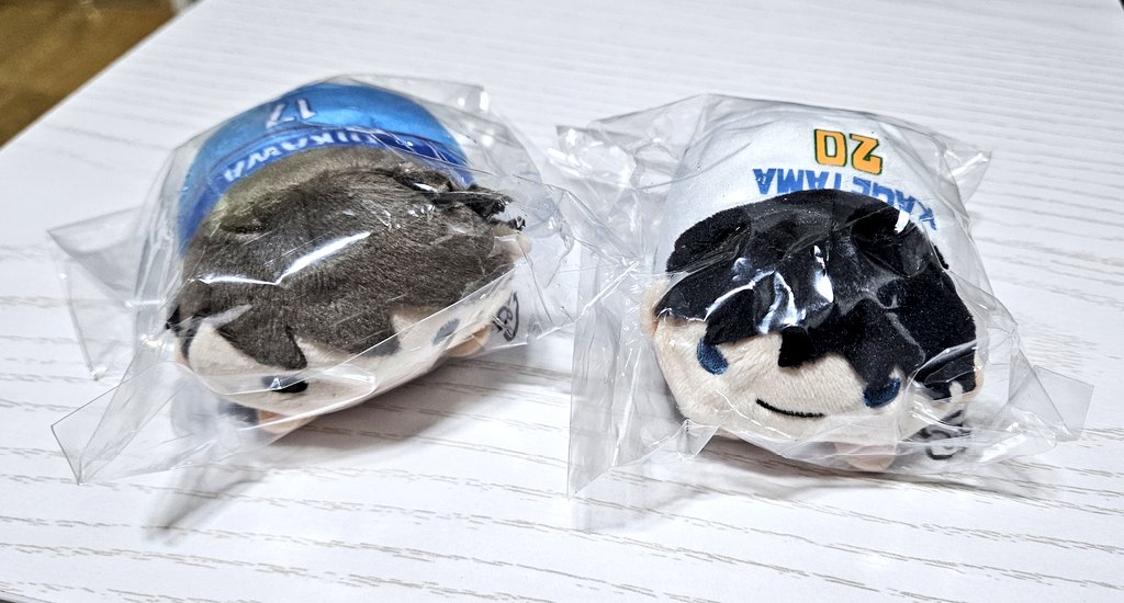 飛魚 tweet media