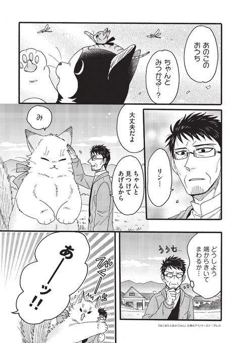 でっかい猫又とずっとのおうち🐾(4/4) 