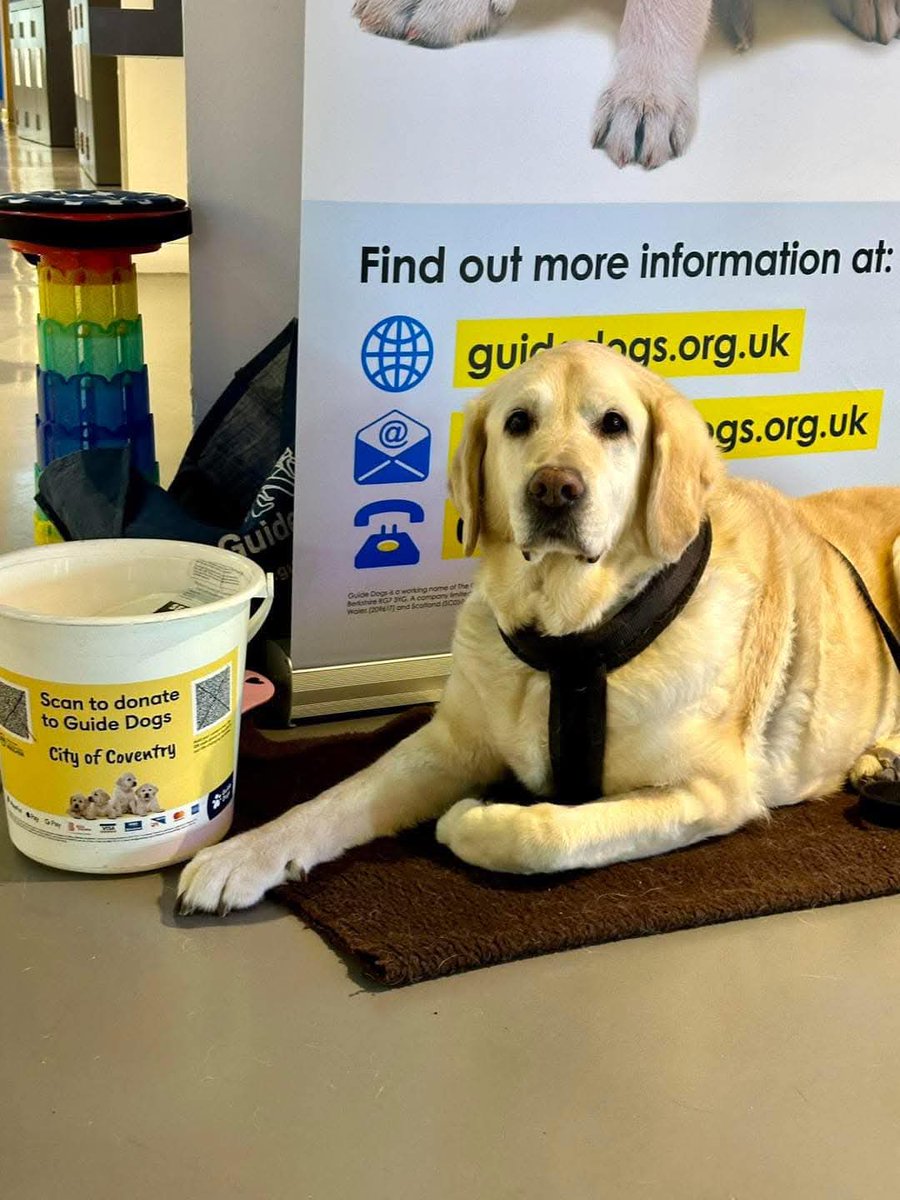 Match Day Alert! Coventry Guide Dogs Fundraising Group will be at <a href="/CBSArena/">Coventry Building Society Arena</a> today for the <a href="/Coventry_City/">Coventry City</a> vs Preston match  

Look out for the volunteers around the arena and donate to help us reach our goal of training life-changing Guide Dogs. 

#PUSB #PawsUpSkyBlues #CCFC