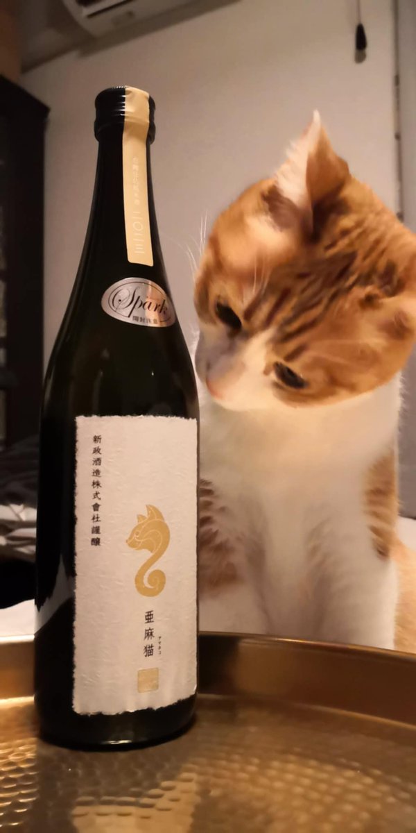 ymtks33's tweet photo. ㊗️ネコの日🎉🍶🐈 https://t.co/VSxFMgaNDx