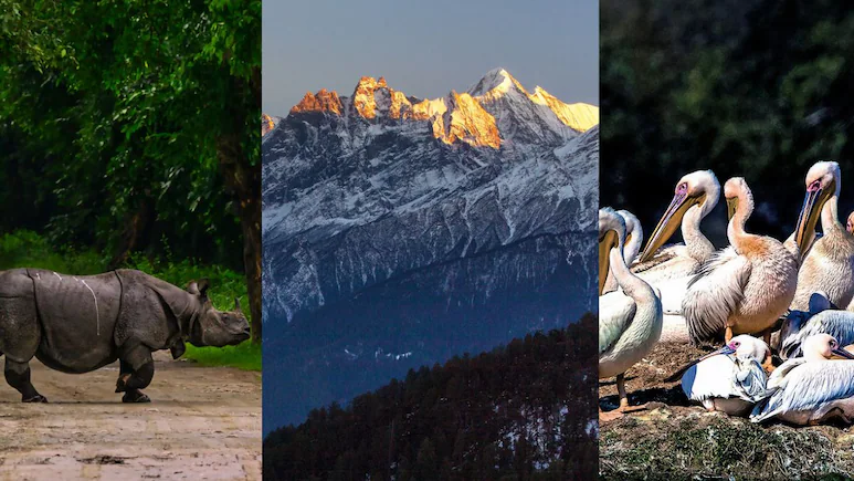 NDTVFood's tweet image. 7 UNESCO-Listed Natural Wonders In India That'll Leave You Speechless
ndtv.com/travel/7-unesc…
#UNESCO #India #naturalwonders