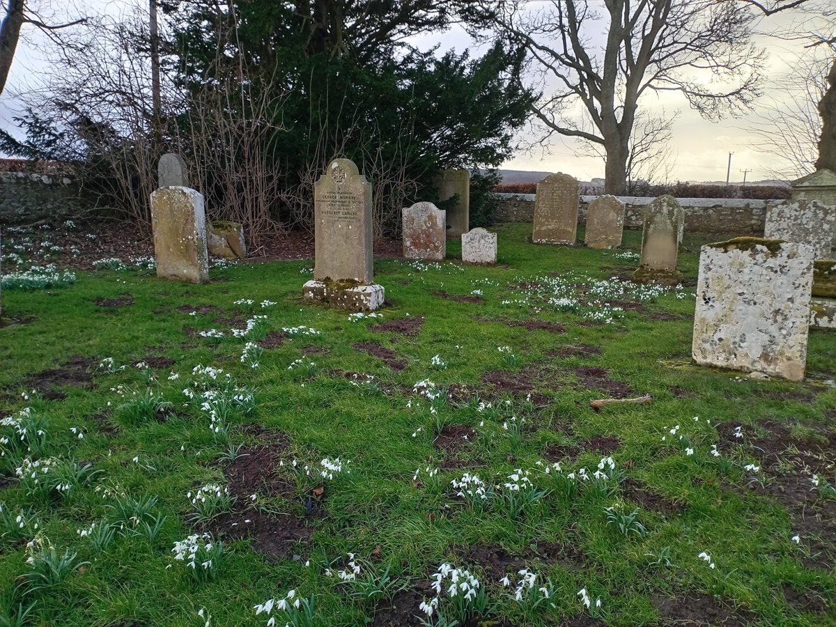 BordersFHS's tweet photo. A wet and windy February day at #Crailing kirk #Roxburghshire. Then a double rainbow. Lots of snowdrops. Crailing &amp; Nisbet #MonumentalInscriptions recorded by BordersFHS volunteers. https://t.co/wI8pJ3tGOI