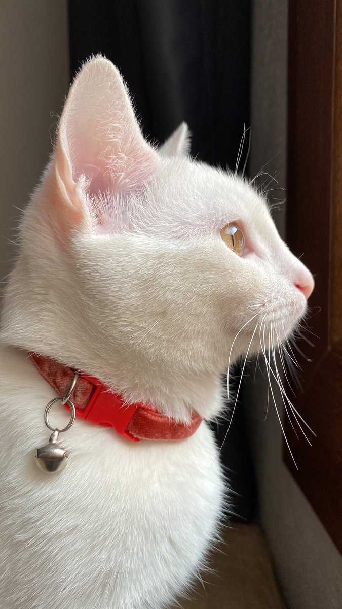 BİZ GELDİK 
<a href="/vankedisicoin/">vankedisi</a> #enguzelbenimkedim