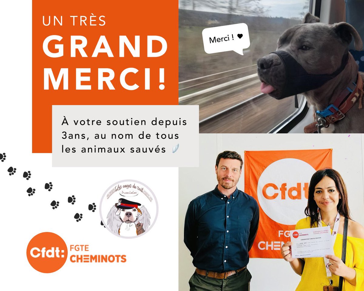 Association Les Anges du Rail tweet media