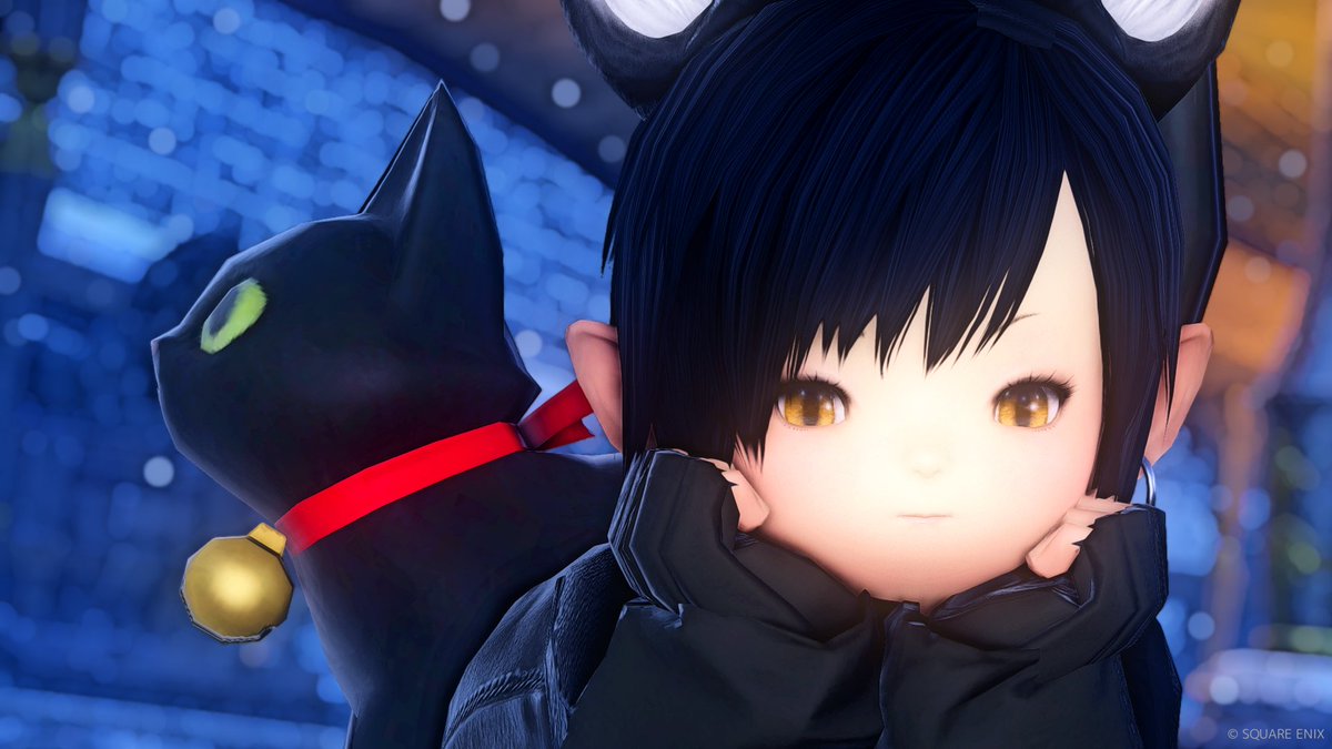 いい1日でした
おやすみなさい🐾

#猫の日 #ララフェル