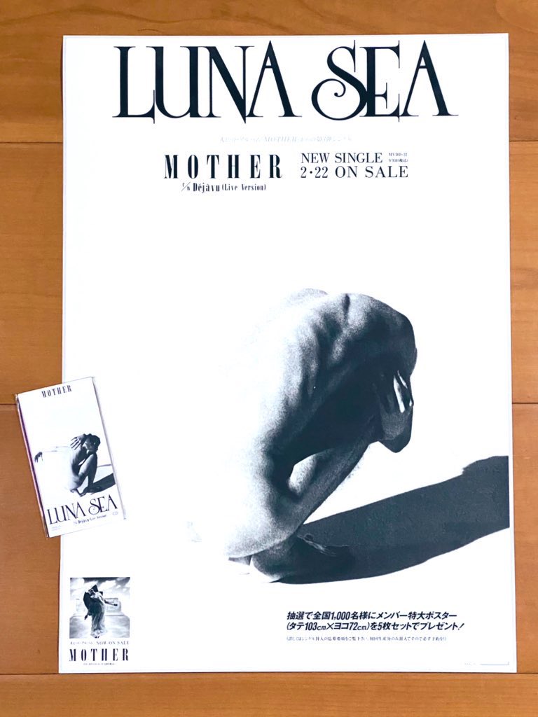 本日で発売から30年！！！ 1995年2月22日 発売 【MOTHER/LUNA SEA