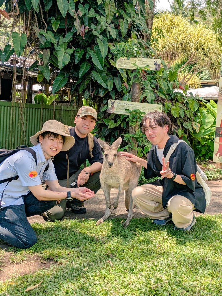 kobo0128's tweet photo. 死ぬまでにやりたいリスト『グレートバリアリーフでダイビング』達成🇦🇺
クマノミとカンガルーとチェキ撮れたし、熱気球から見るオーストラリアも最高やった🦘 https://t.co/qhZcKlWmKs