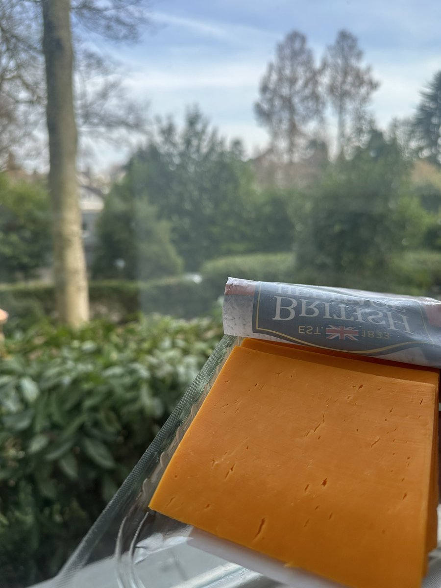 Ich bin mittlerweile wie der Käse auf meinem Brot: Medium Vintage