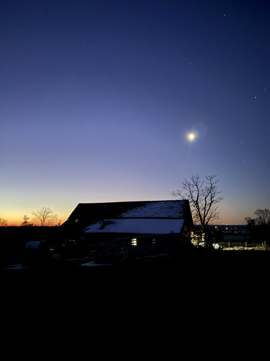 Peanut Coleman tweet media