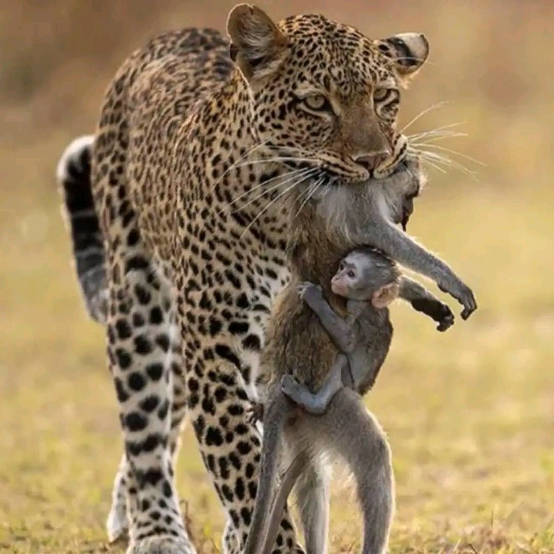 Nature is brutal 🤧