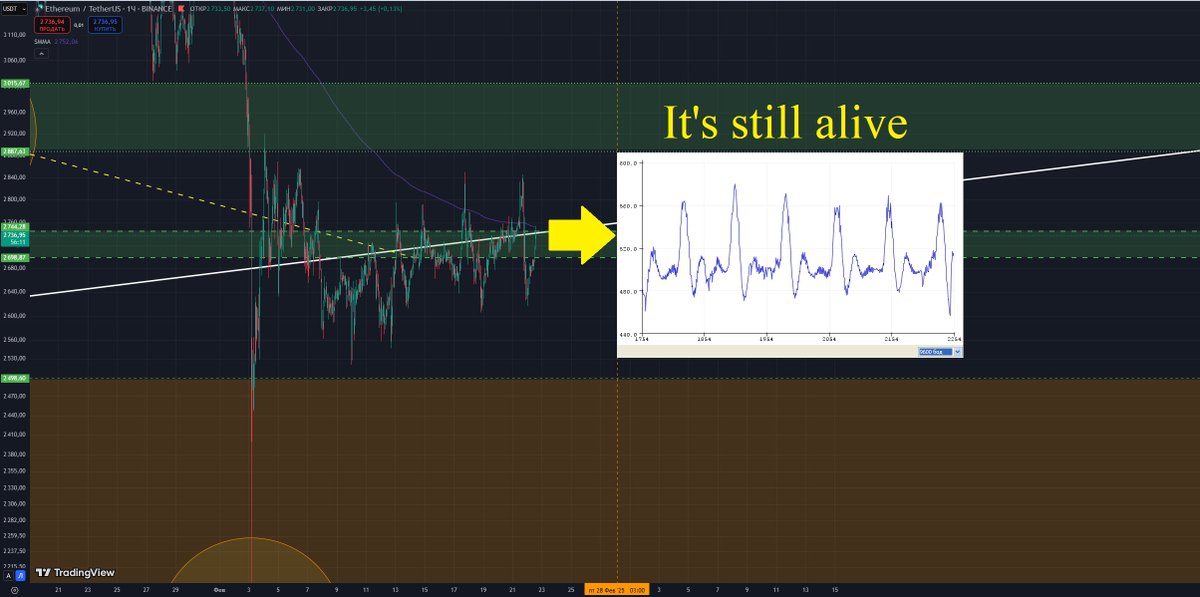 Solid Pepe tweet media