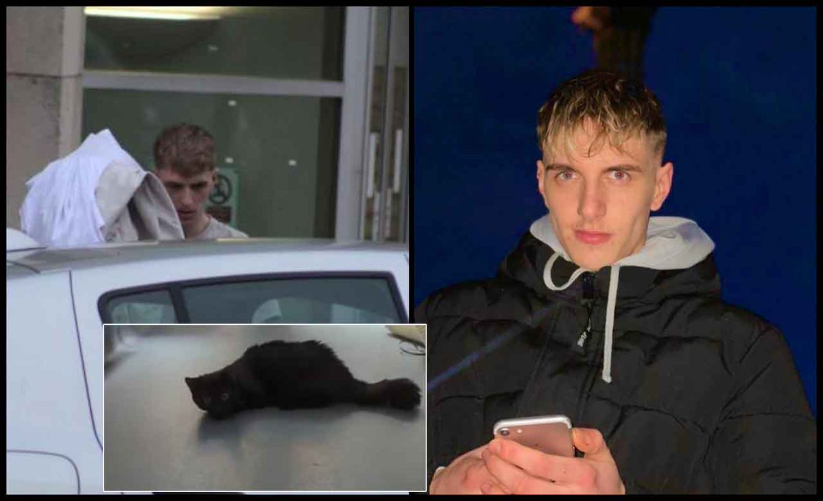 Please retweet CONVICTED | Lewis Jackson, 23, from #Bournemouth #BH2 #Dorset #UK  - inflicted five weeks of physical abuse on a helpless kitten and failed to seek treatment for a broken leg, AVOIDS JAIL‼️
Sentencing | two year community order with 15 days of 'rehabilitation';