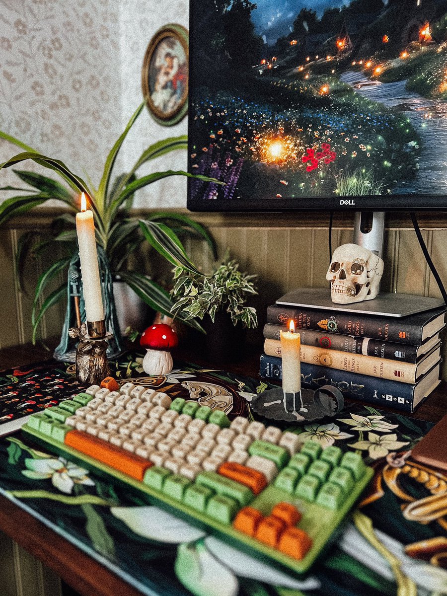 Lisa Lueddecke tweet media