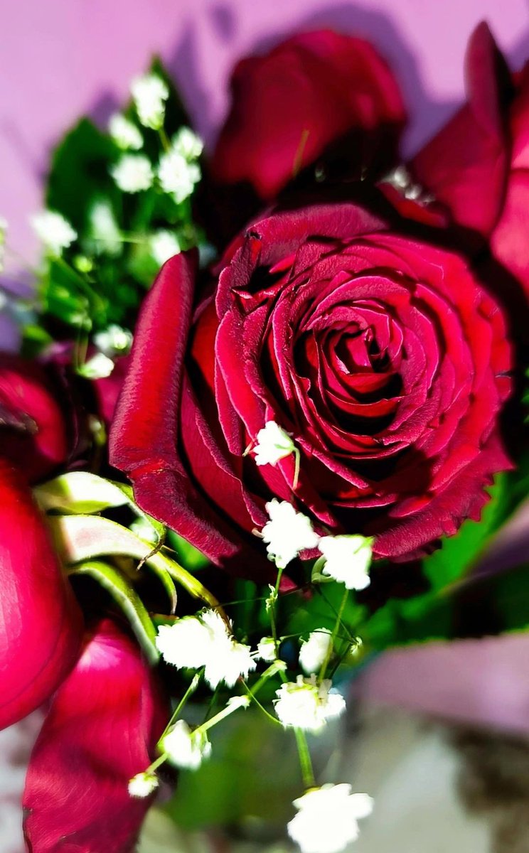 𝚄𝚖𝚞𝚍𝚞𝚗 𝚘𝚕𝚍𝚞𝚐̆𝚞 𝚢𝚎𝚛𝚍𝚎, 𝙼𝚞𝚌𝚒𝚣𝚎𝚕𝚎𝚛 𝚌̧𝚒𝚌̧𝚎𝚔 𝚊𝚌̧𝚊𝚛...