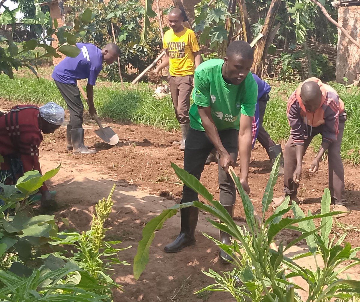 Today, our #GreenRising Ambassadors from all #districts attended #MonthlyUmuganda, where they engaged with local community members, sharing insights about Green Rising Rwanda's mission and highlighting the critical role of young people in taking climate action.#GreenRisingRwanda
