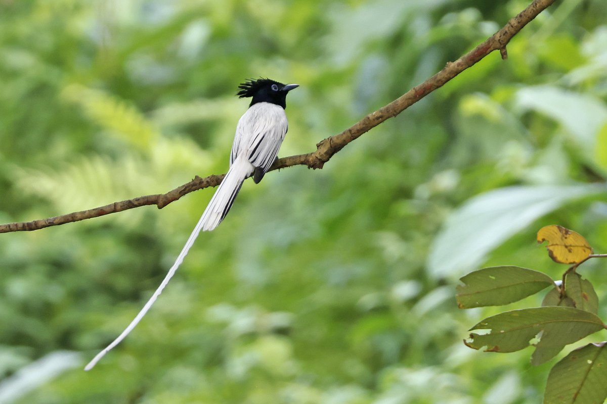 Dominic Mitchell tweet media