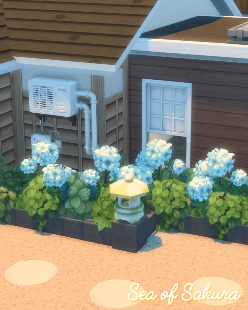 🌸 Sakura 🌸 tweet media