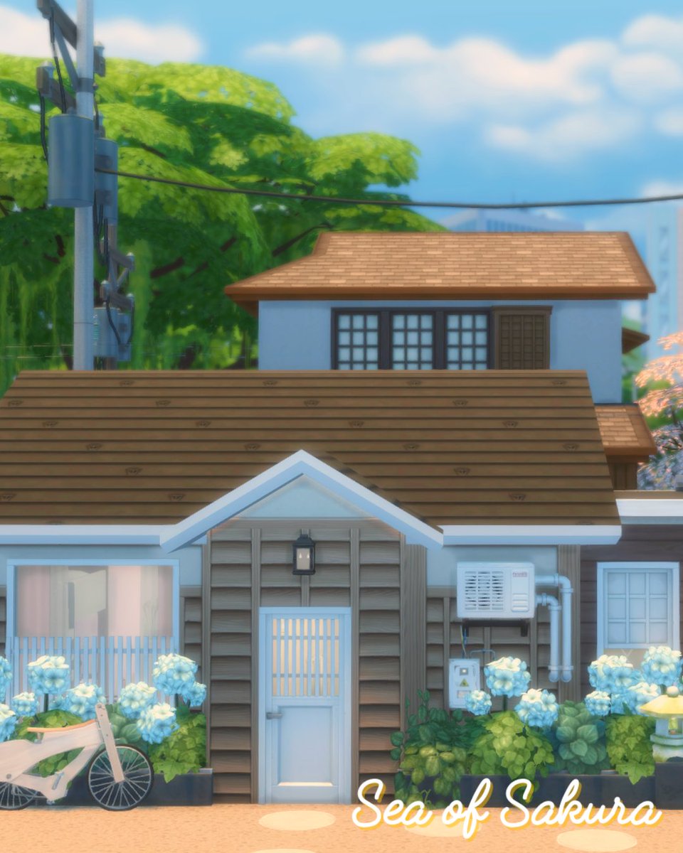 🌸 Sakura 🌸 tweet media