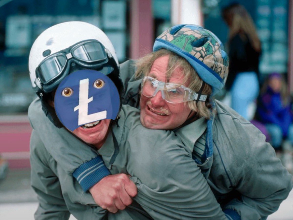 lesterctosol's tweet image. Hang on tight to your $Lester!

#Hodl