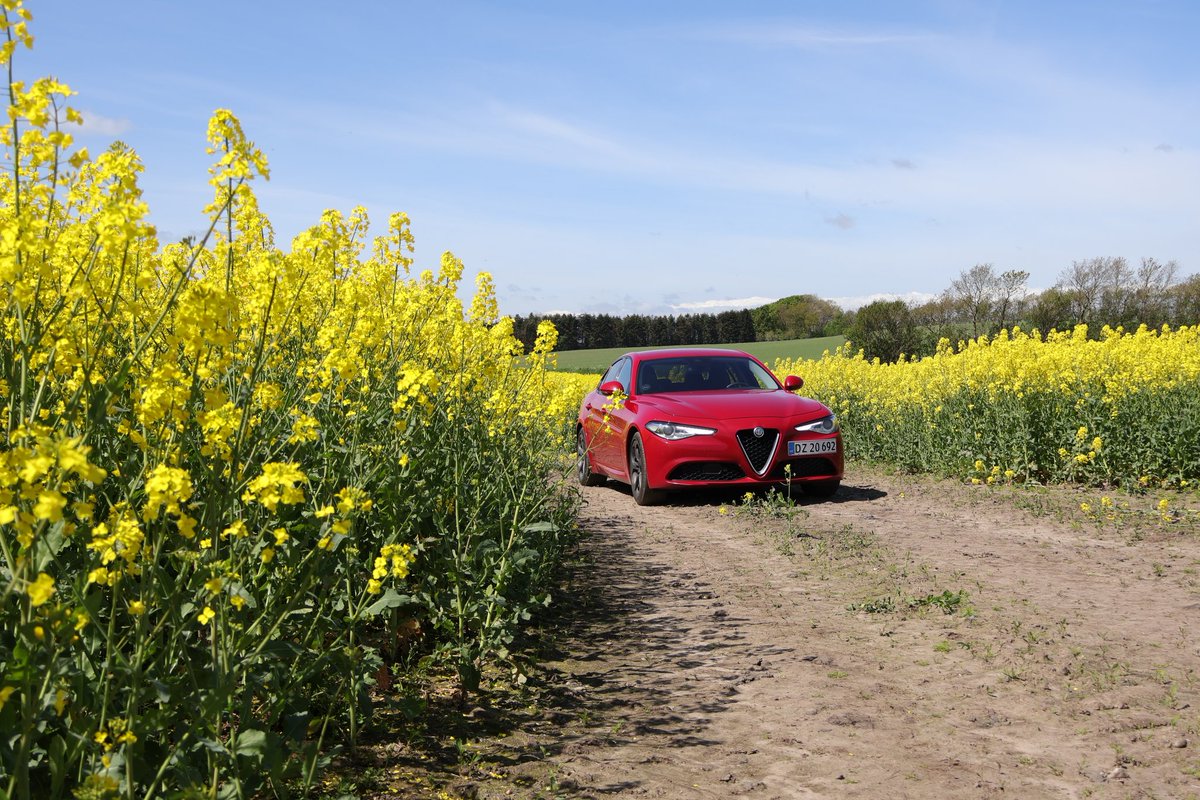 Calitrax43's tweet image. ⏳☀️Summer Loading......