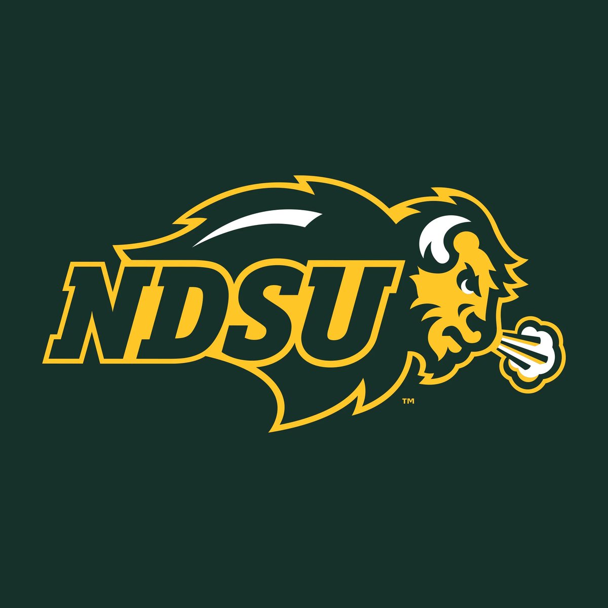 westrry5's tweet photo. After a great call and conversation with @CoachTimNDSU, I am grateful to receive a scholarship offer from North Dakota State University! @NDSUfootball #GoBison https://t.co/VEhQ3Aax69