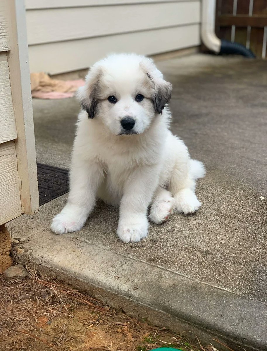 NatureUnIeashed's tweet image. 6 year glow up &amp;lt;3