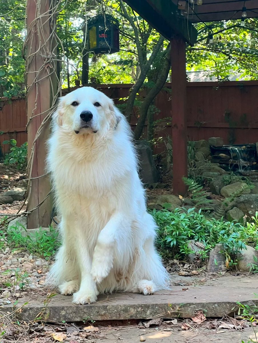 NatureUnIeashed's tweet image. 6 year glow up &amp;lt;3