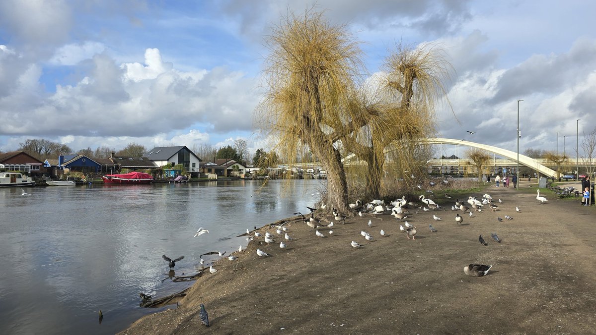 Ellie & Stefan 👫| Berkeley Square Barbarian tweet media