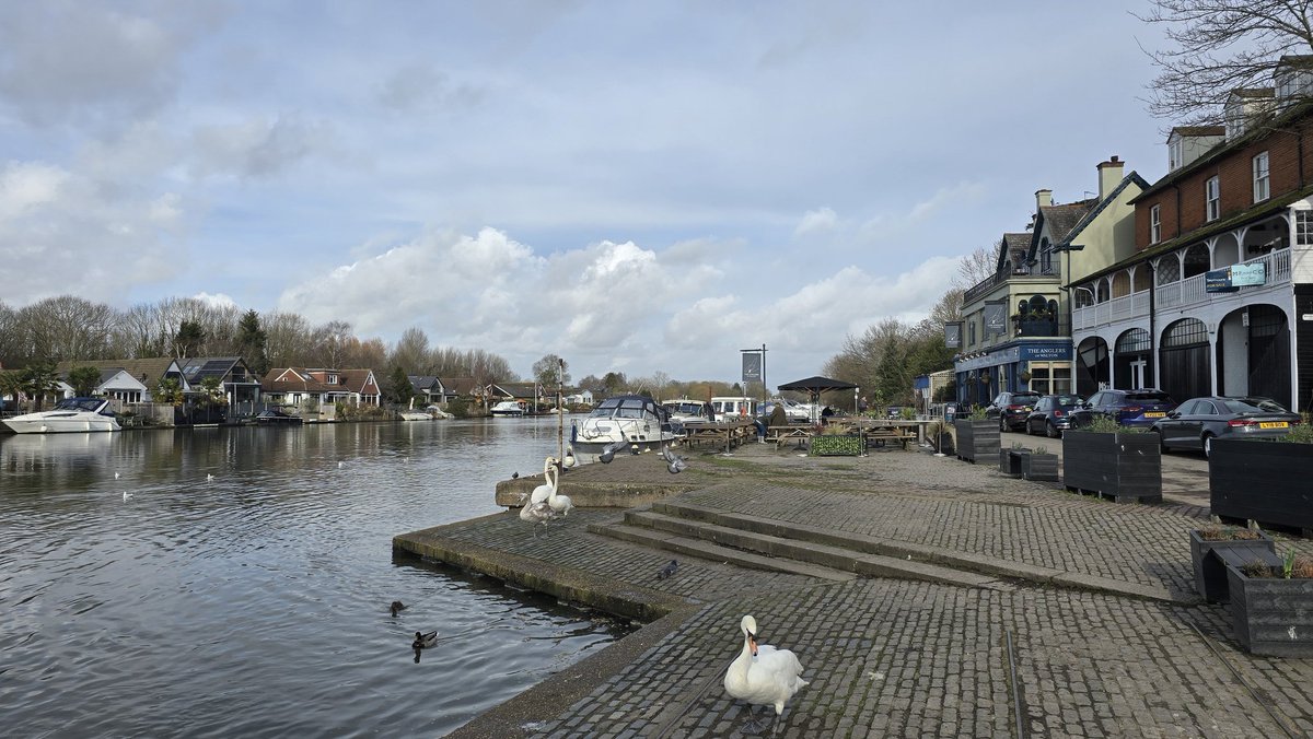 Ellie & Stefan 👫| Berkeley Square Barbarian tweet media