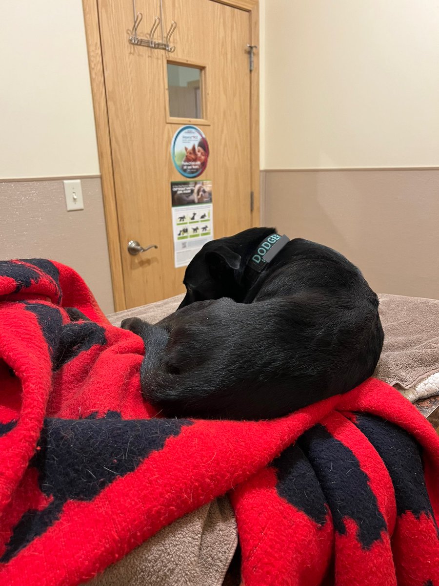 Iridium⚡️ tweet media