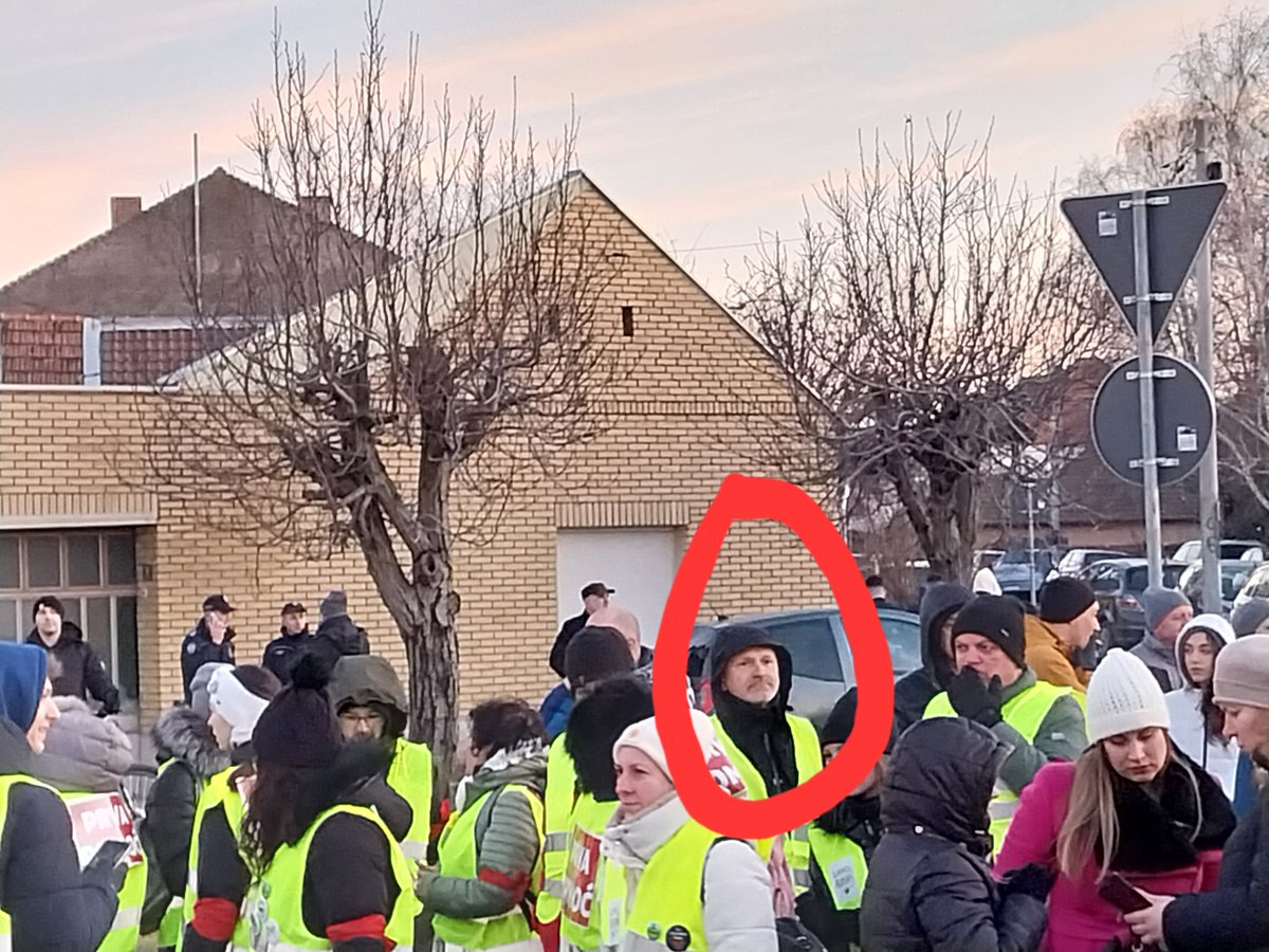 Dragana Rakić tweet media