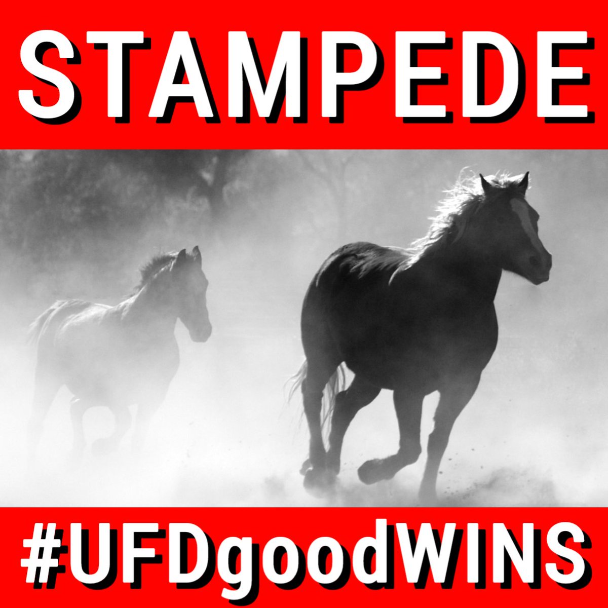 🚨🚨 SATURDAY STAMPEDE 🚨🚨

Horns Up DUSTERS!
Let's SHARE Our Good $UFD
Message with the WORLD

Our task is SIMPLE:
Post: #UFDgoodWINS

Let's go $UFD Family!
This is OUR Time 🦄💨🌈