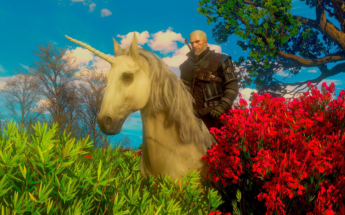 The Witcher 3 ⚔️🐺⚔️

#VirtualPhotography #CDProjektRED #TheWitcher3