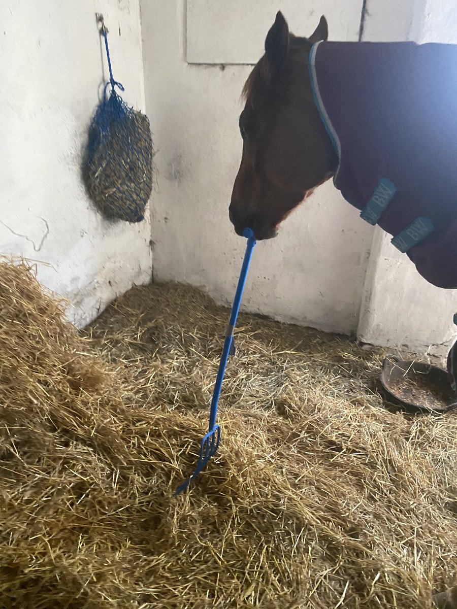 Jess White tweet media