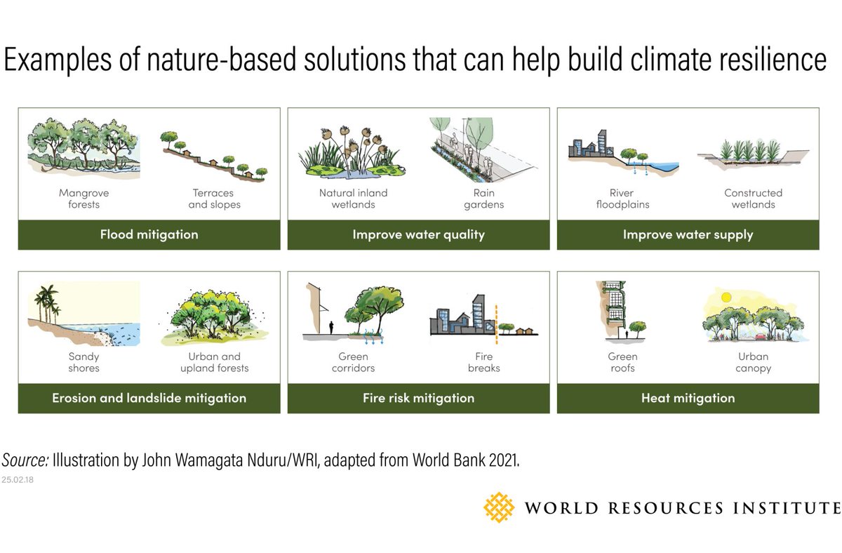 Climate resilience starts with nature 🌱 

In sub-Saharan Africa, cities and communities are restoring wetlands, planting mangroves, and integrating green-gray infrastructure to combat floods, droughts &amp; rising heat. 

Learn more about nature-based solutions ➡️