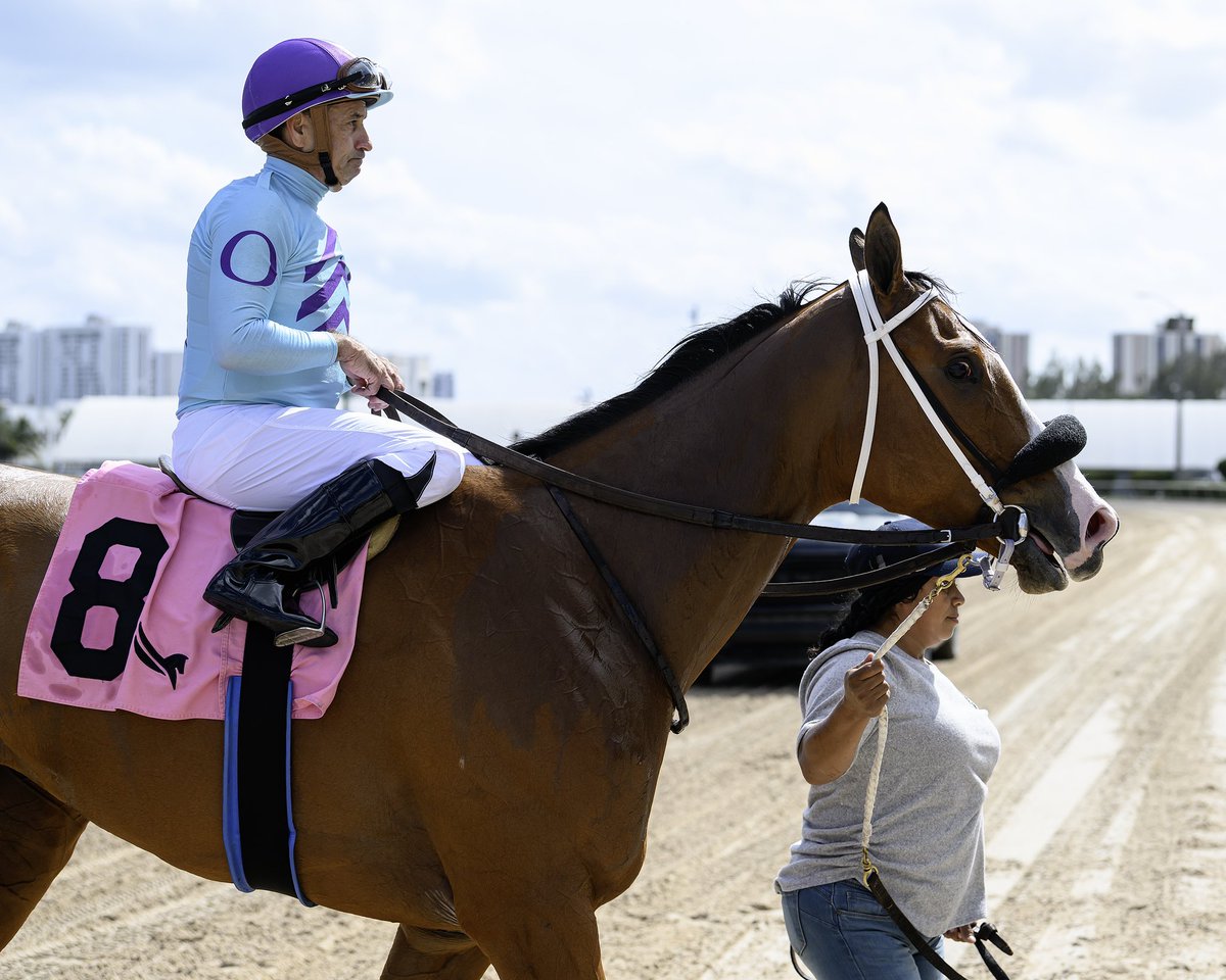 Escape Room #GulfstreamPark #ChampionshipMeet