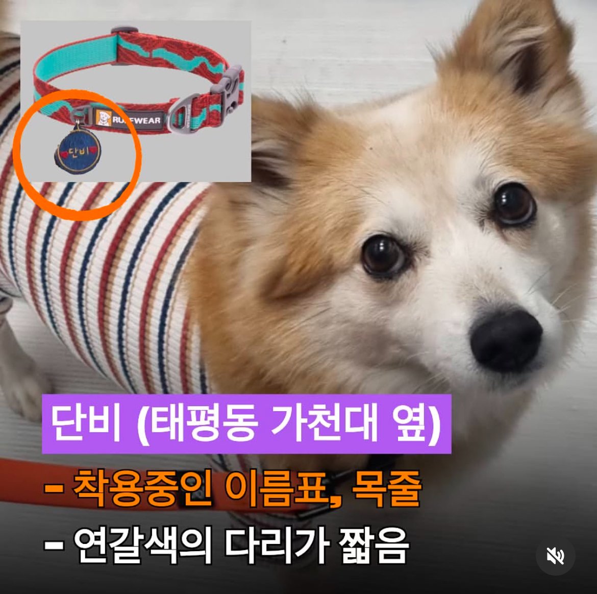 우리 예쁜 단비 찾고싶어요