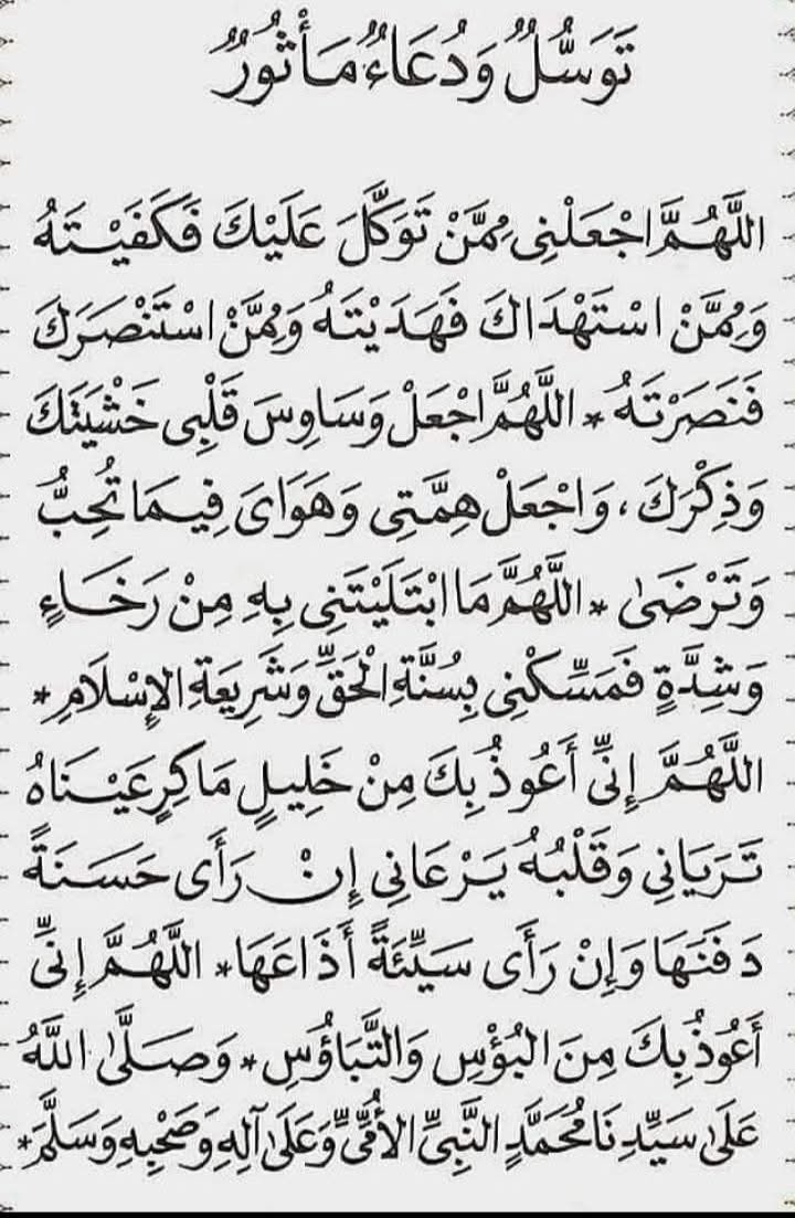 الشريف اسامه خليف tweet media