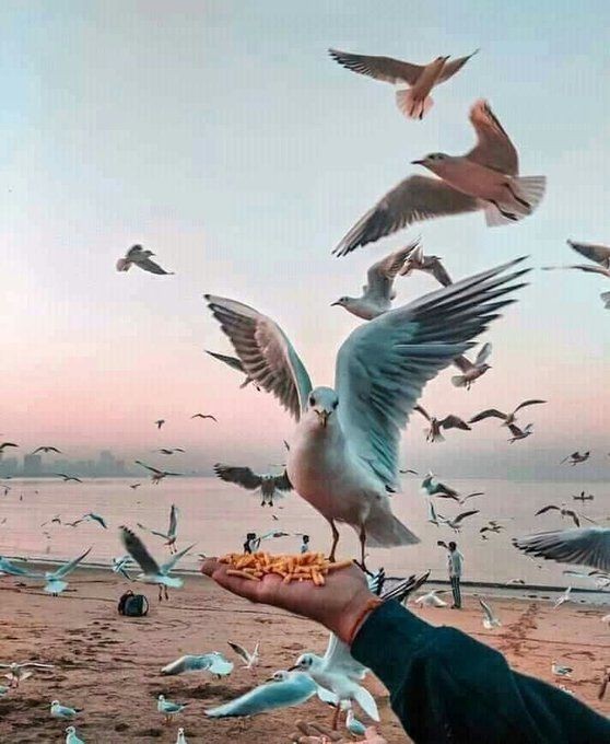 احياناً ابسط الاشياء تعني لنا الكثير 🕊
#فضفضة_مشاعر