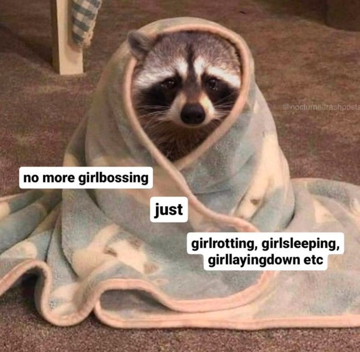 raccoon aesthetic. tweet media