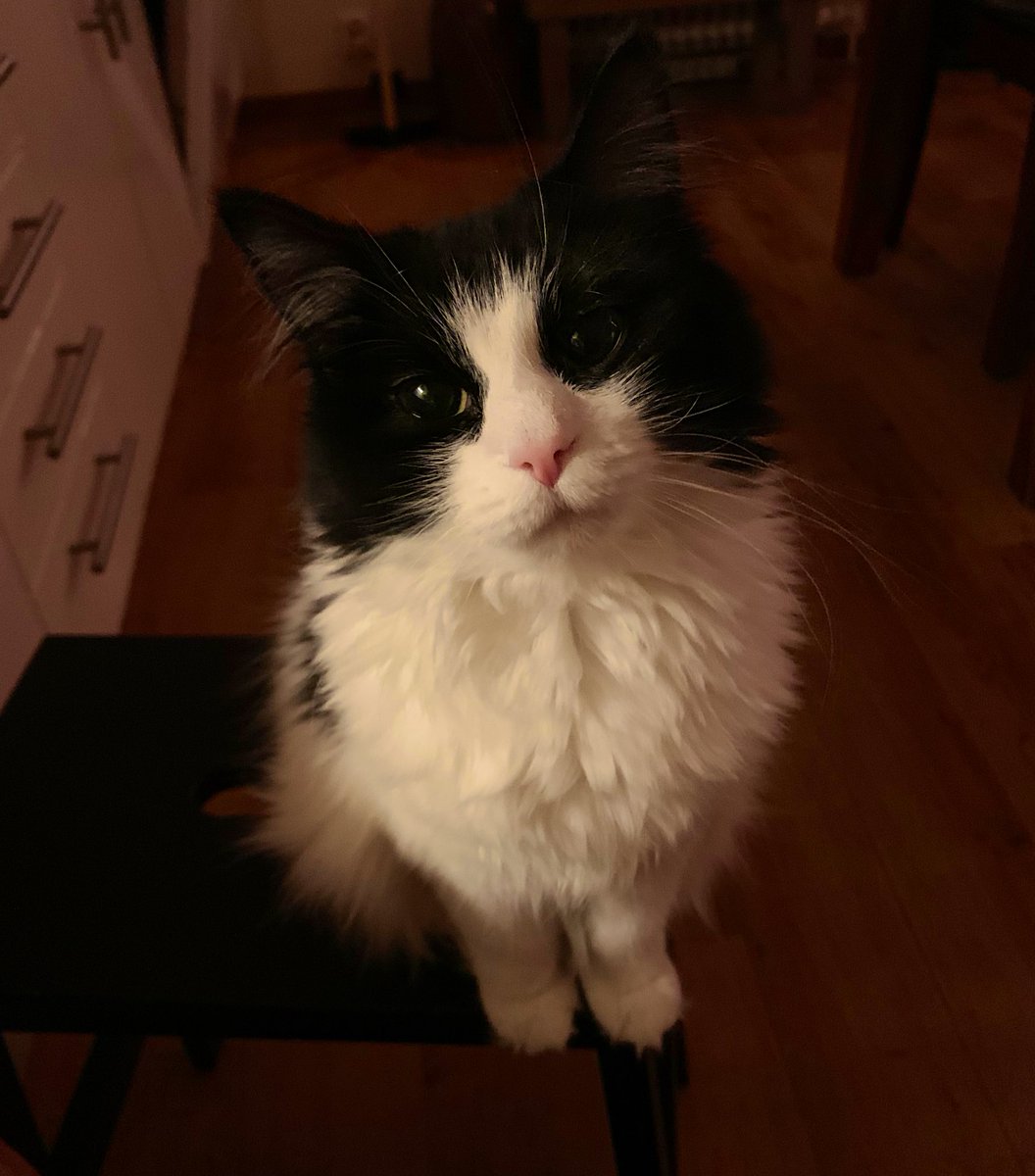 Ewa Sandborg ☕️🍪 tweet media