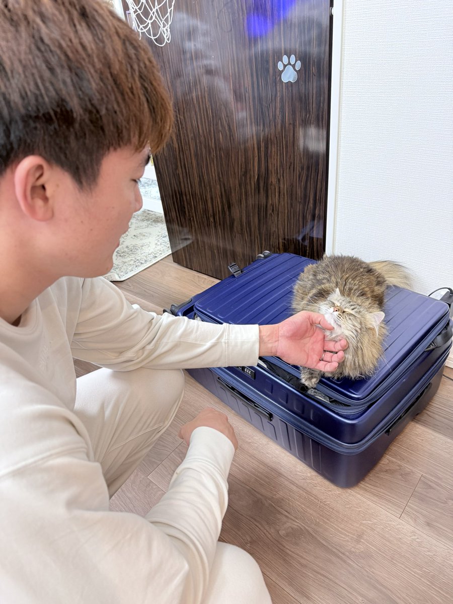 azuzuo7's tweet photo. シャンちゃん🫶🏻
#猫の日 https://t.co/LPmvBkoCd3