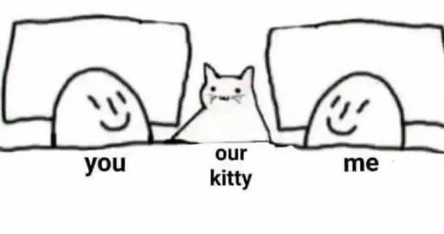 PostsOfCats's tweet photo. could be us https://t.co/3somsLLNhA